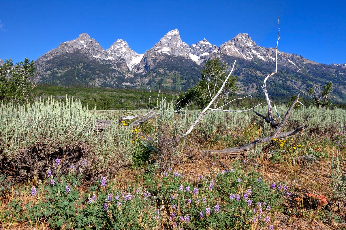 Wyoming blog